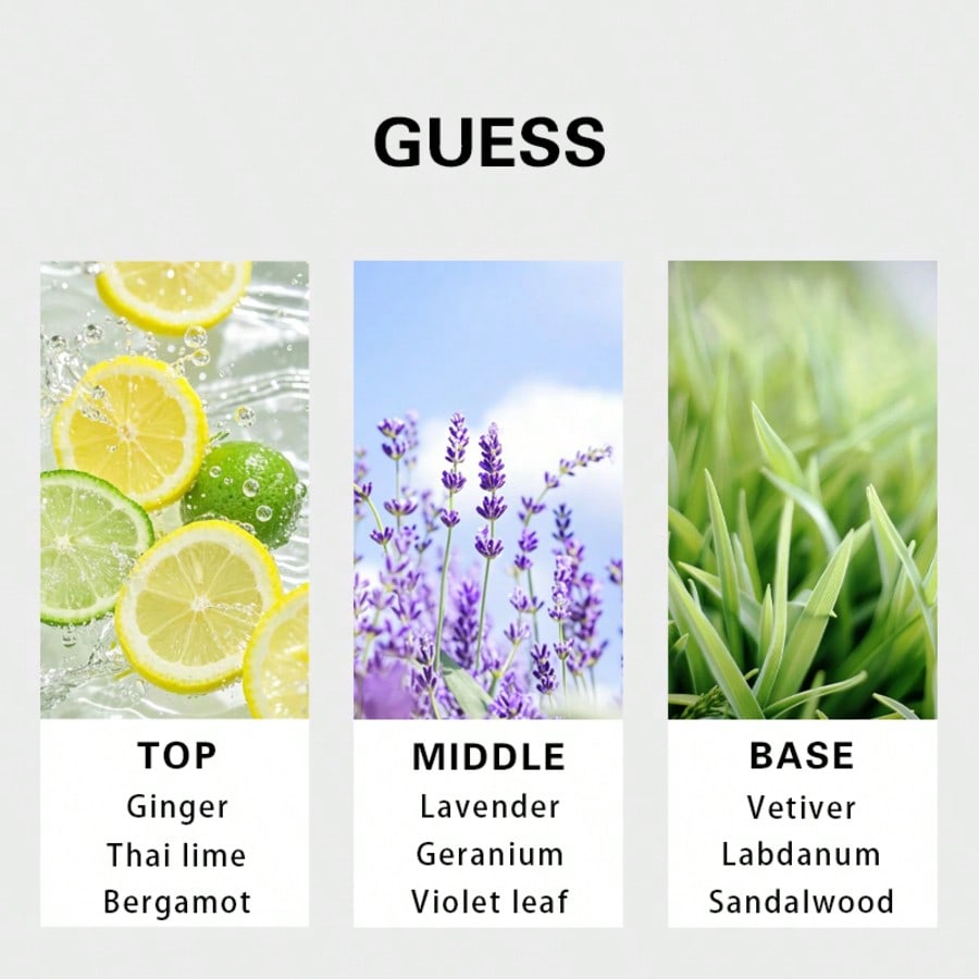 Guess Forever men Eau De Toile - Fragrance Perfume Note review and price