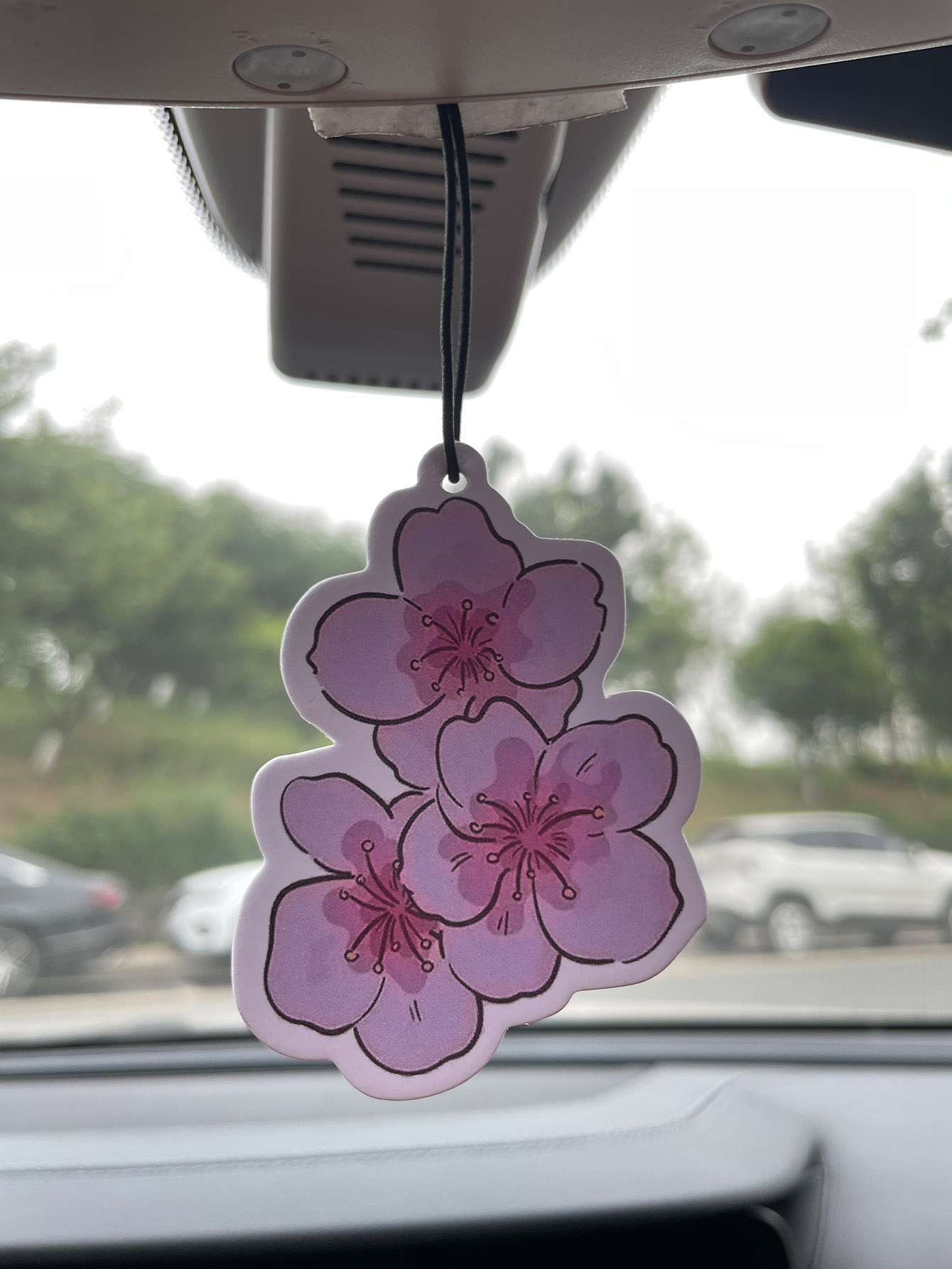 Sakura/Freesia Fresh Scent Fiv - Perfume Fragrance Types review and price
