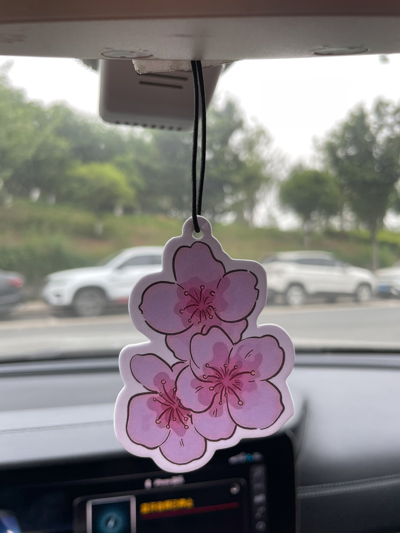 Sakura/Freesia Fresh Scent Fiv - Perfume Fragrance Types review and price
