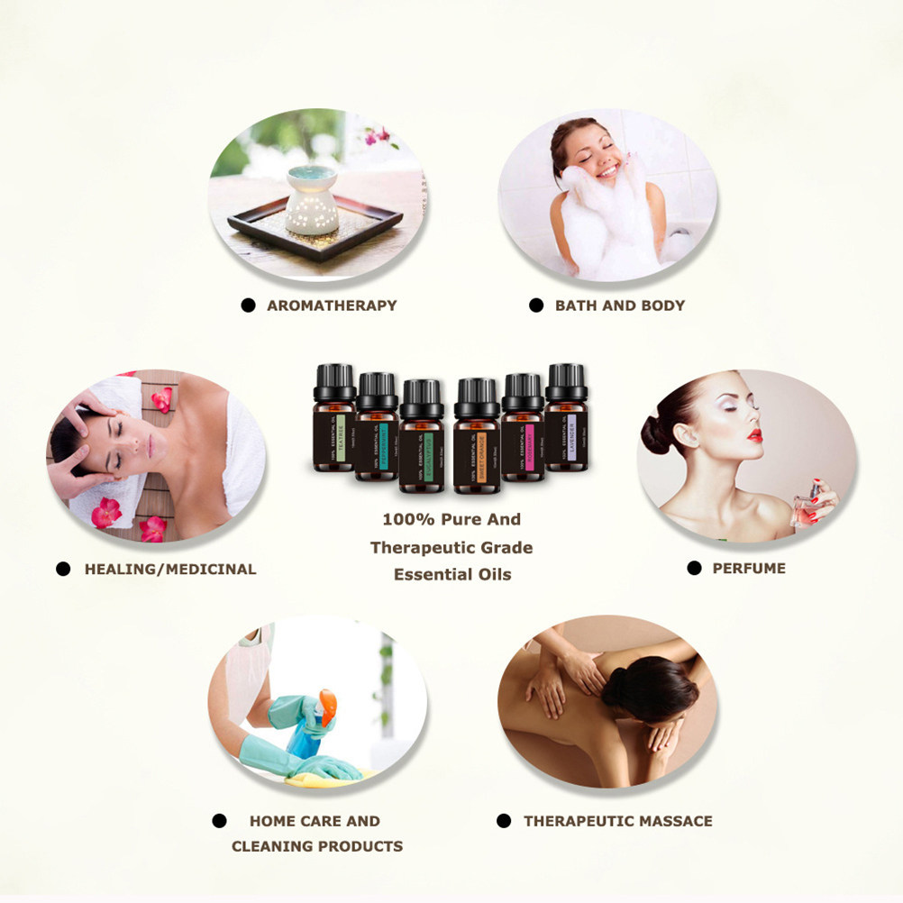 6Pcs Glass Essential Oil Bottl - Perfume Travel Set review and price