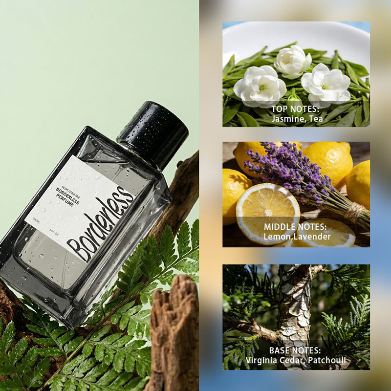 Luxury Borderless Men Perfume  - Perfume Luxury Fragrance review and price